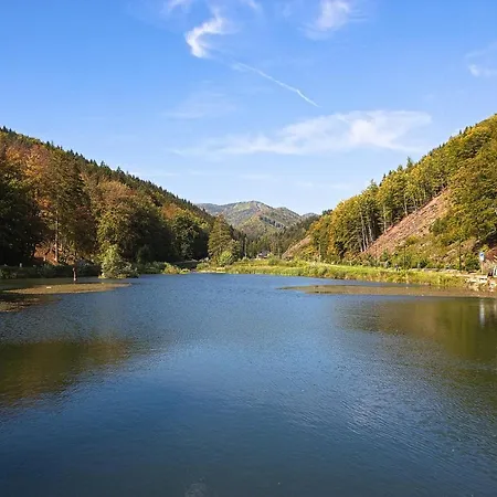 45 Valča
