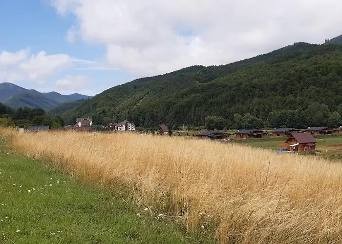 45 * Valča