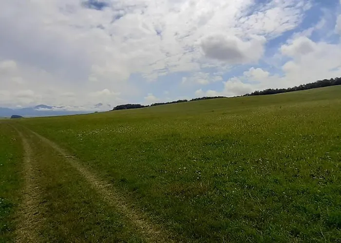 45 Lejlighed Valča