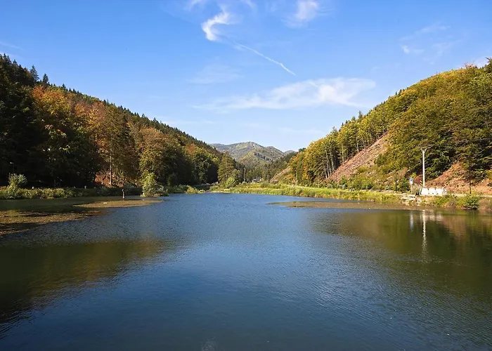 45 Valča
